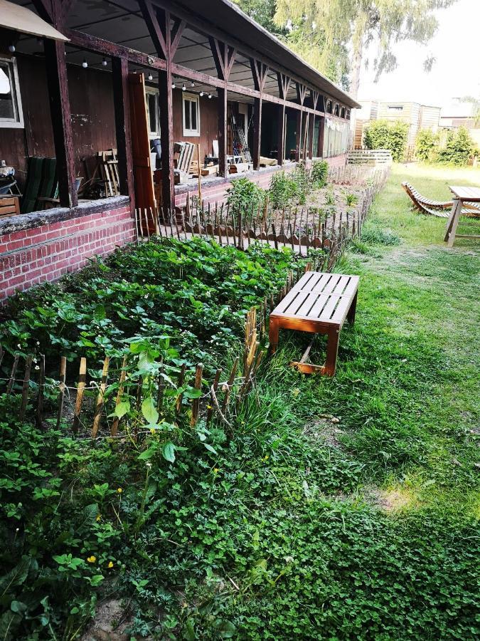 Suderburg Gaestehaus Maria Rast المظهر الخارجي الصورة